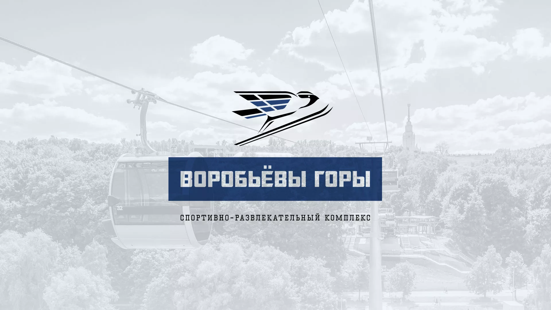 Разработка сайта в Углегорске для спортивно-развлекательного комплекса «Воробьёвы горы»
