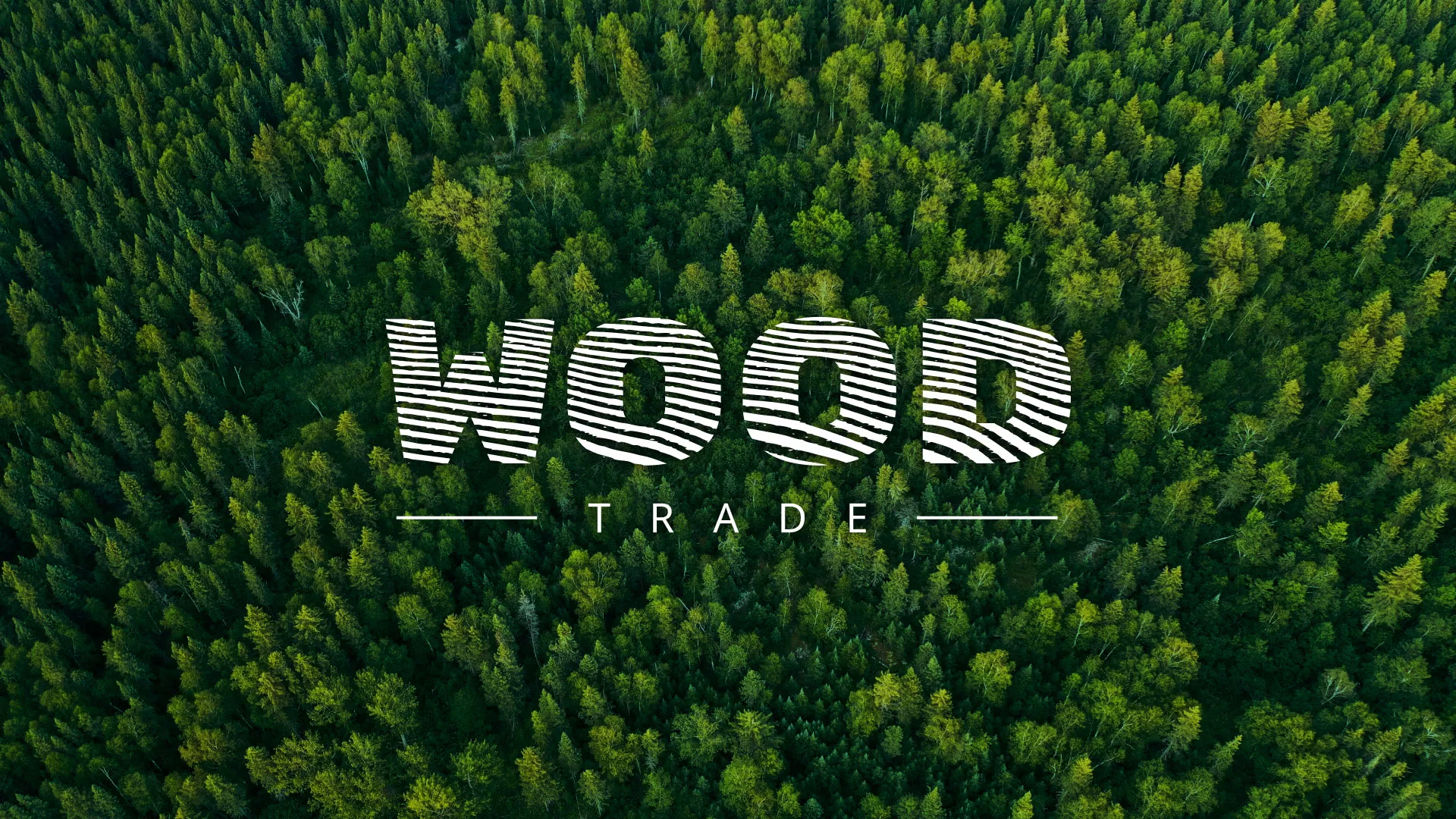 Разработка интернет-магазина компании «Wood Trade» в Углегорске