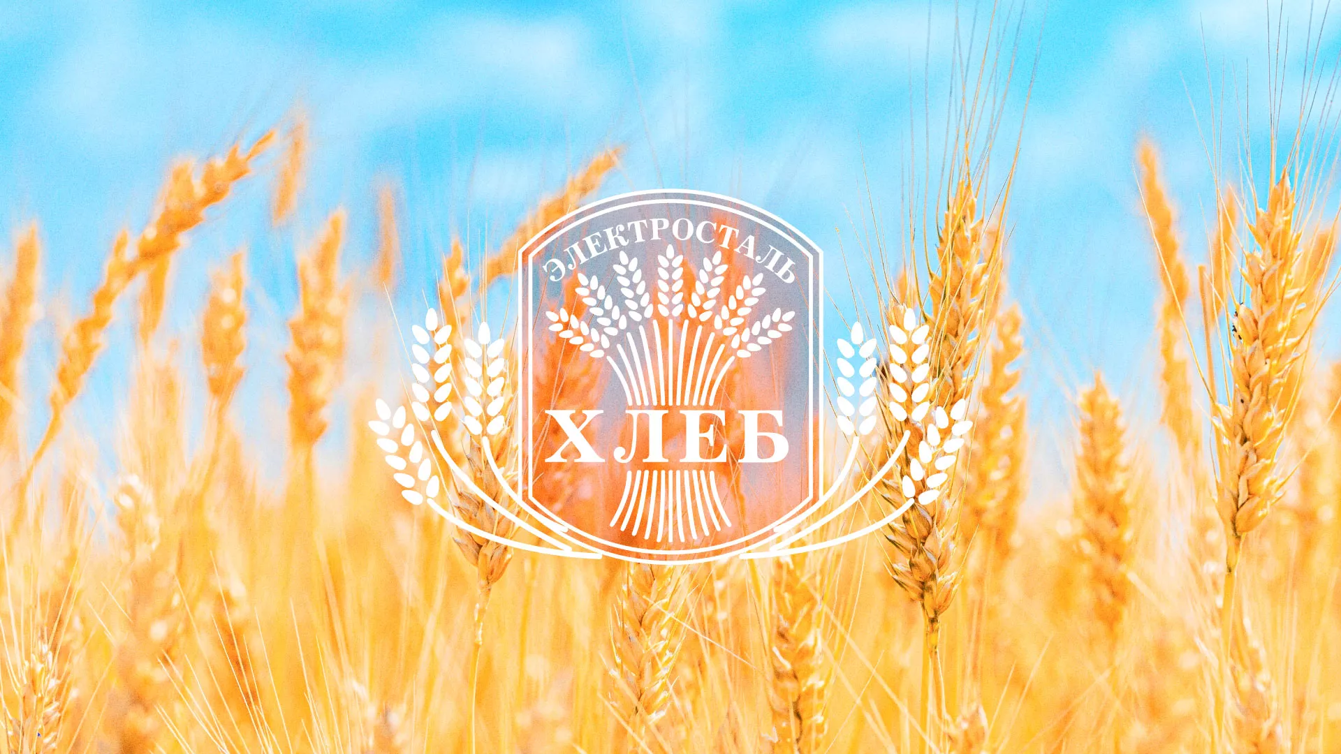 Создание сайта для хлебзавода в Углегорске